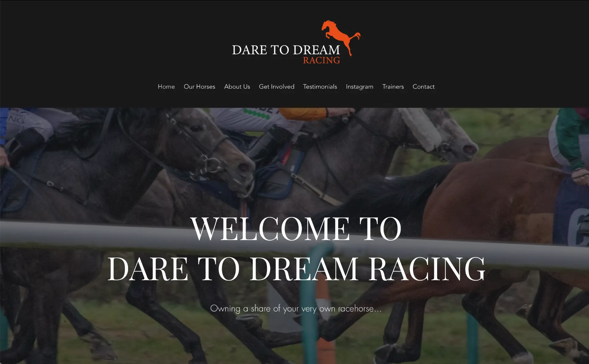 Racing syndicate website homepage with logo and navigation